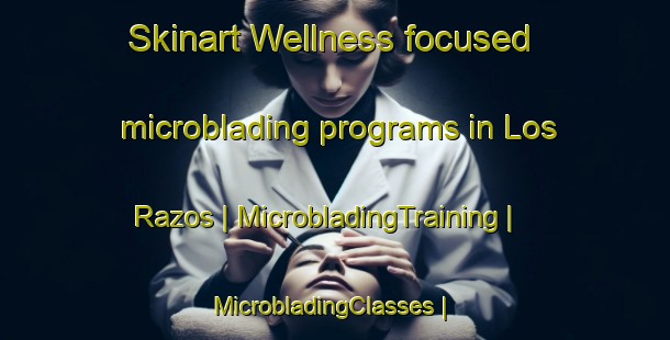 Skinart Wellness-focused microblading programs in Los Razos | MicrobladingTraining | MicrobladingClasses | SkinartTraining-Mexico